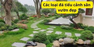 Các loại đá tiểu cảnh sân vườn đẹp