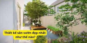 Thiết kế sân vườn đẹp nhất như thế nào?