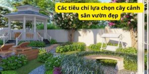 Các tiêu chí lựa chọn cây cảnh sân vườn đẹp