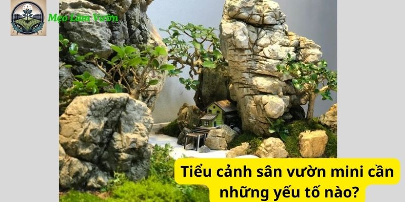 Tiểu cảnh sân vườn mini cần những yếu tố nào?