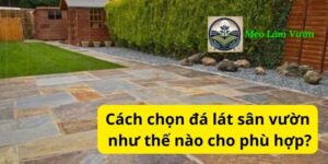 Cách chọn đá lát sân vườn như thế nào cho phù hợp?