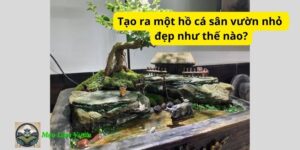 Tạo ra một hồ cá sân vườn nhỏ đẹp như thế nào?